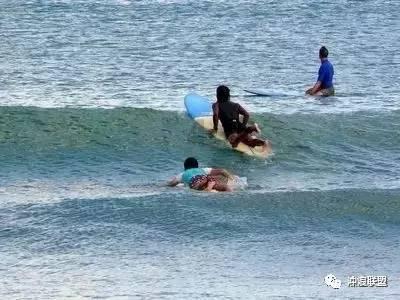 以形补形，吃猪肺就能补肺？中医里如何看待这个问题